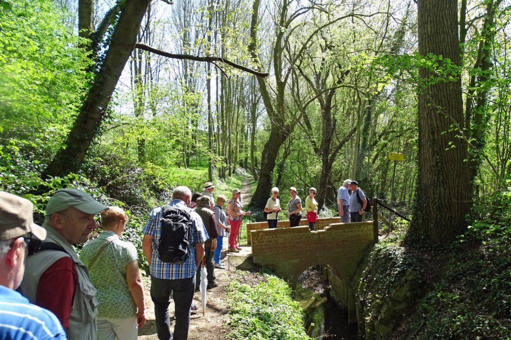 bierbeek04.jpg