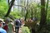 bierbeek04_small.jpg
