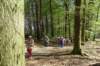 bierbeek15_small.jpg