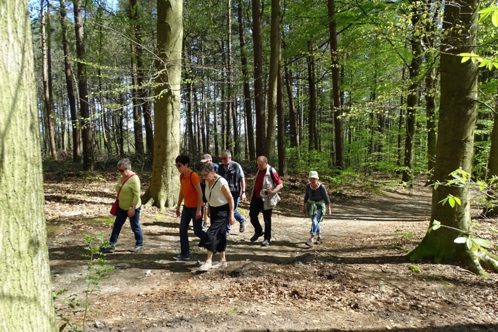 bierbeek16.jpg