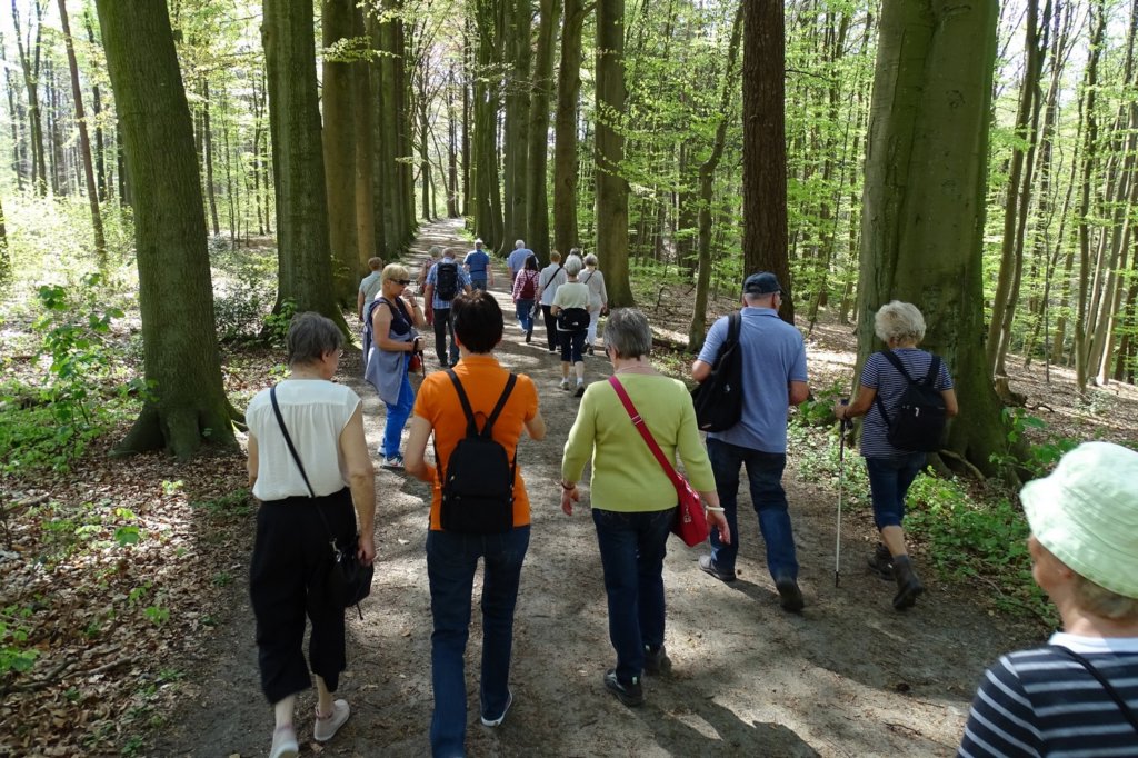 bierbeek17.jpg