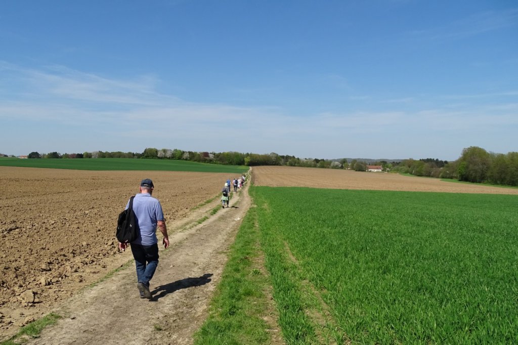 bierbeek21.jpg