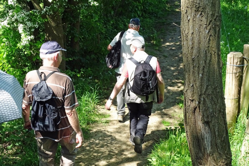stpietersrode08.jpg