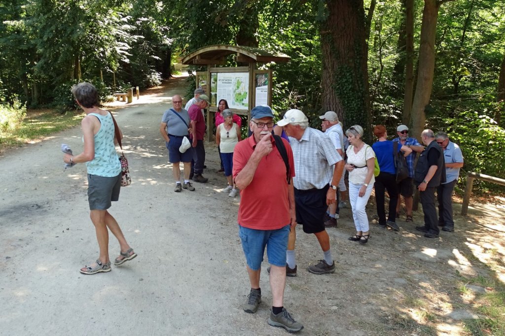 oudheverlee08.jpg