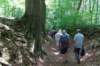oudheverlee09_small.jpg