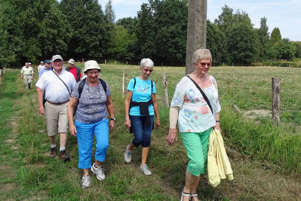 haasrode05.jpg