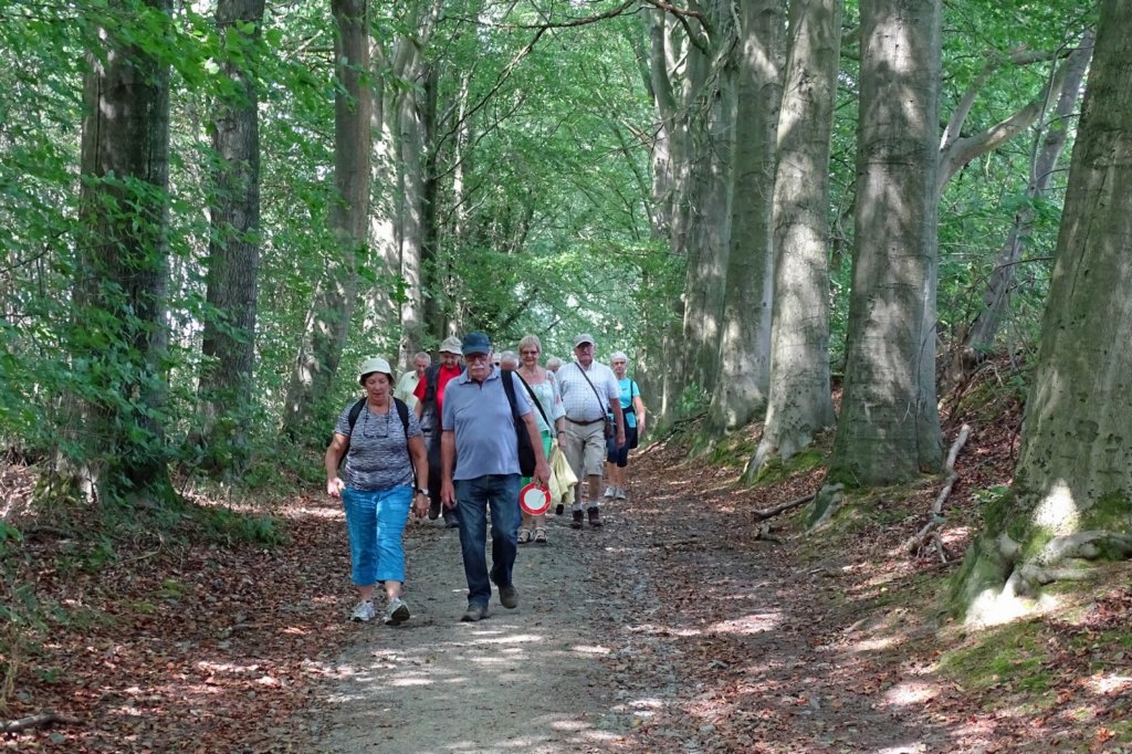 haasrode09.jpg