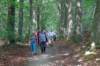 haasrode09_small.jpg