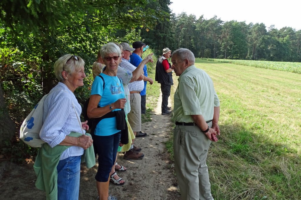 haasrode16.jpg