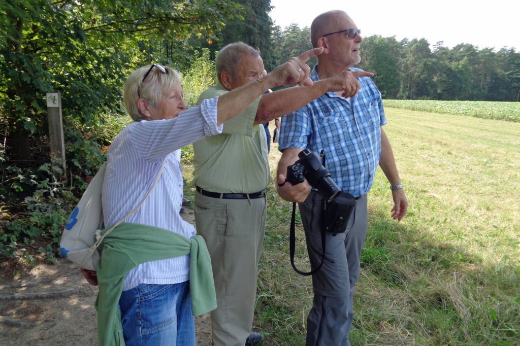 haasrode17.jpg